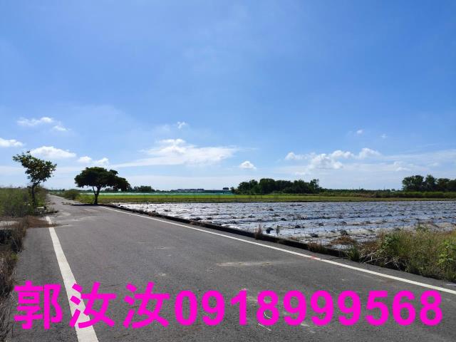 鹽水農地-3