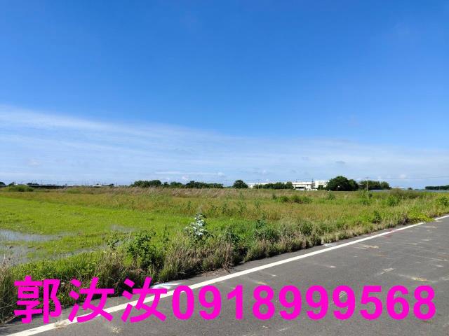 鹽水農地-5