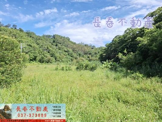 8F230薑麻園平房