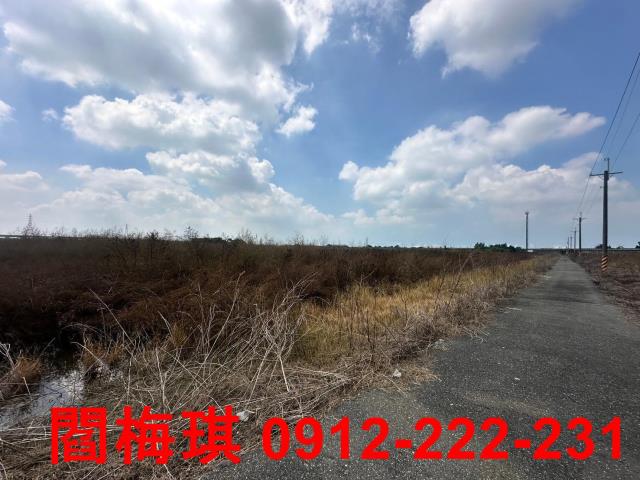 台南農地-4