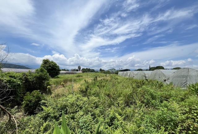 南投埔里農地-5