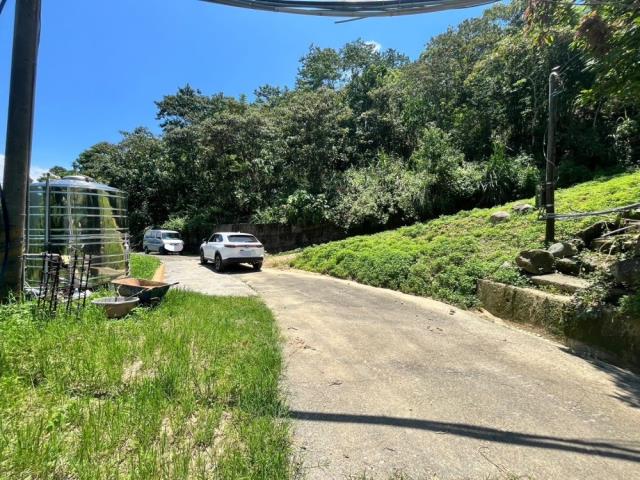 南投國姓農地-2