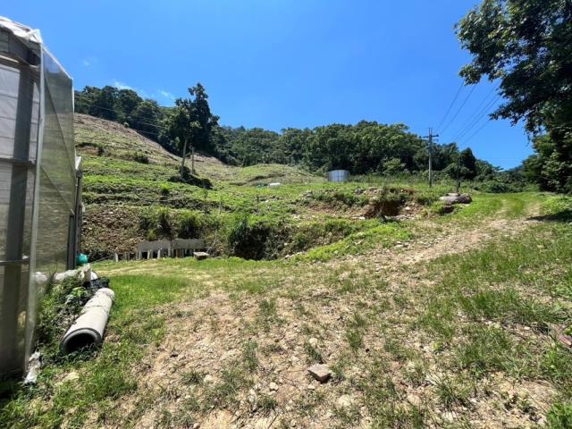 南投國姓農地-3