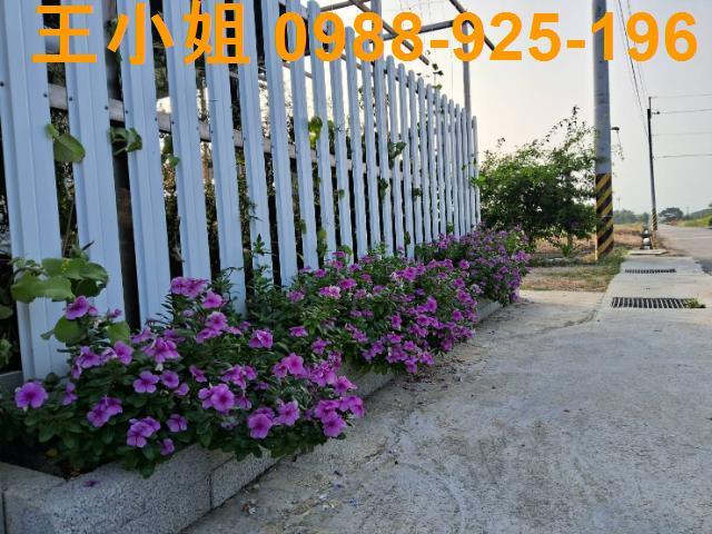 觀音民族路一般農地