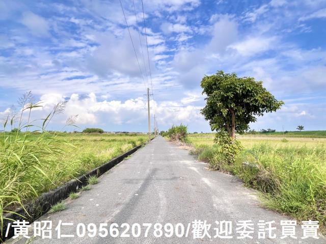 台南七股農地-3