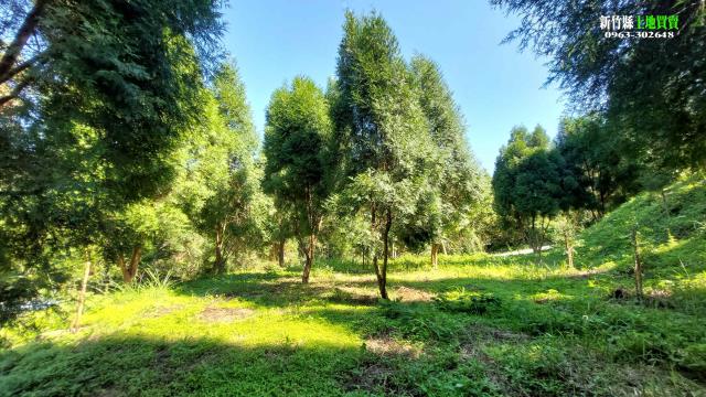 新竹北埔農地-10