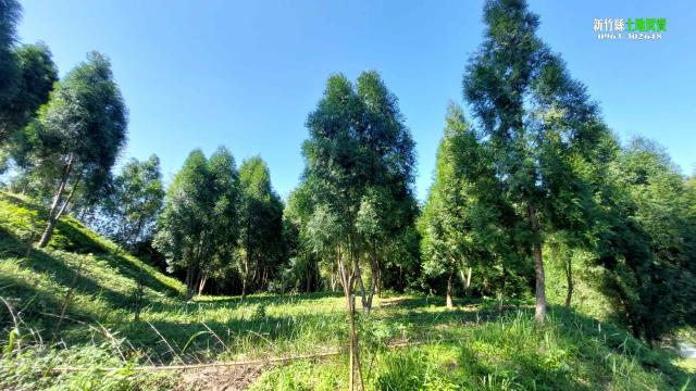 新竹縣市房地產近湖口火車站