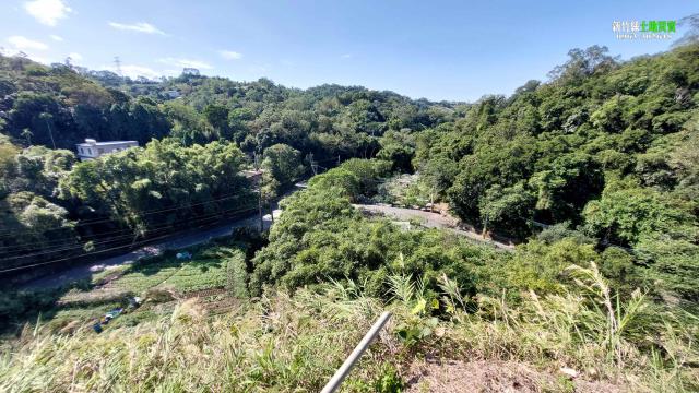 新竹北埔農地-12