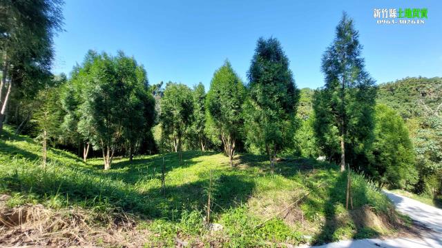 新竹北埔農地-1