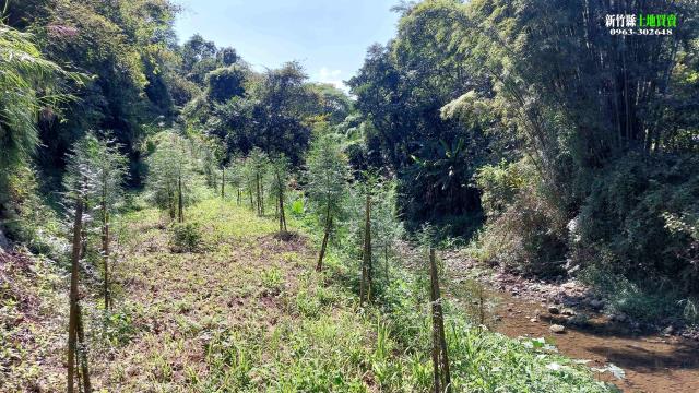 新竹北埔農地-4