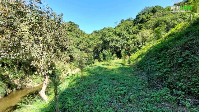 新竹北埔農地-6