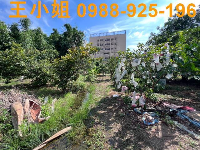 桃園桃園區農地-9