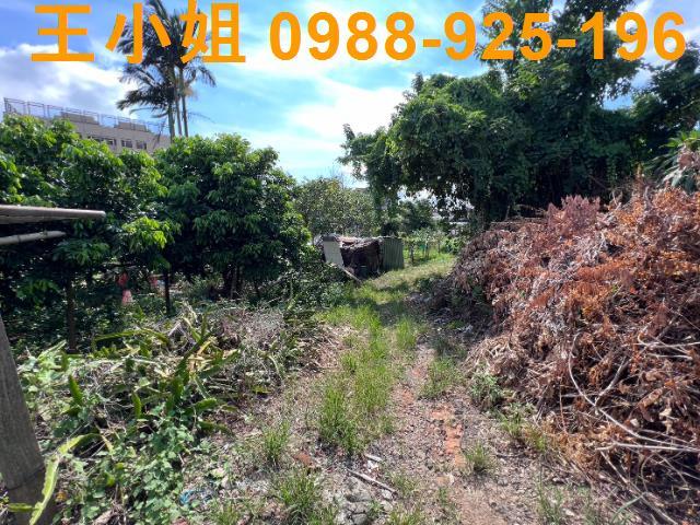 桃園桃園區農地-11