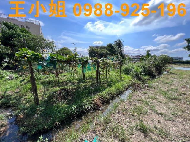 桃園桃園區農地-1