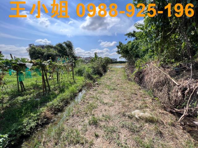 桃園桃園區農地-2