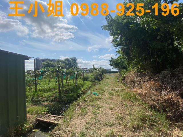 桃園桃園區農地-3