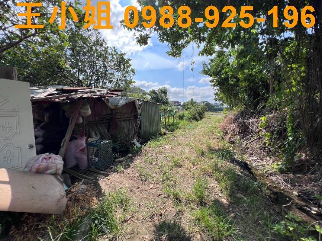 桃園桃園區農地-4