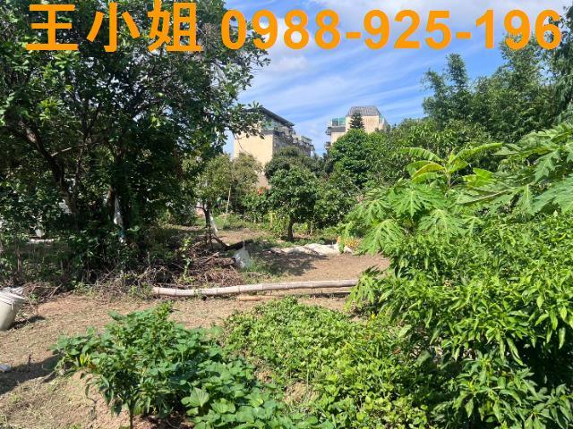 桃園桃園區農地-5