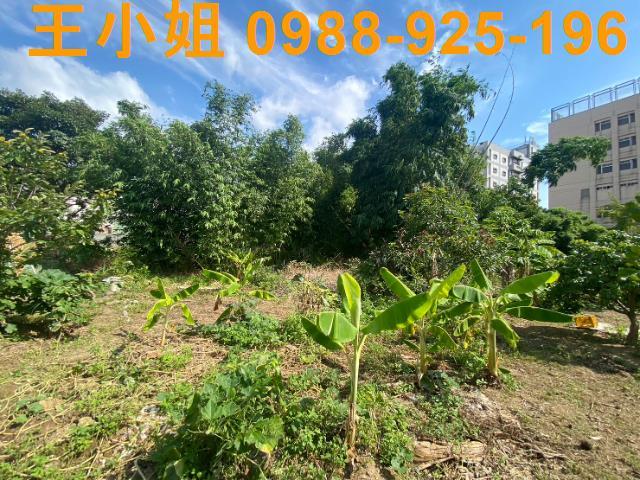 桃園桃園區農地-7