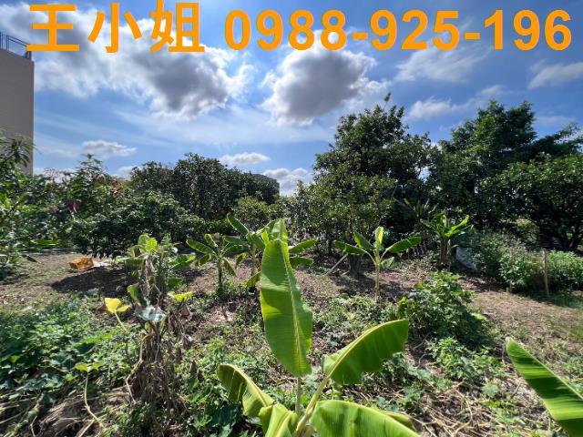 桃園桃園區農地-8