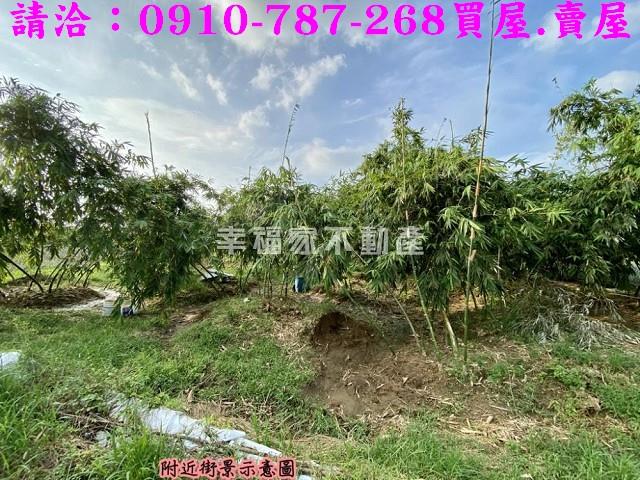 關廟農地-8
