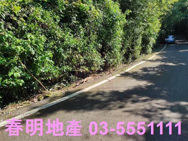 新竹關西農地-1