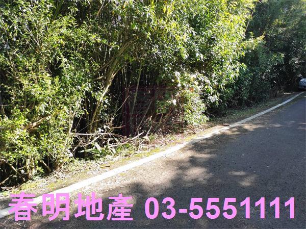 新竹關西農地-3