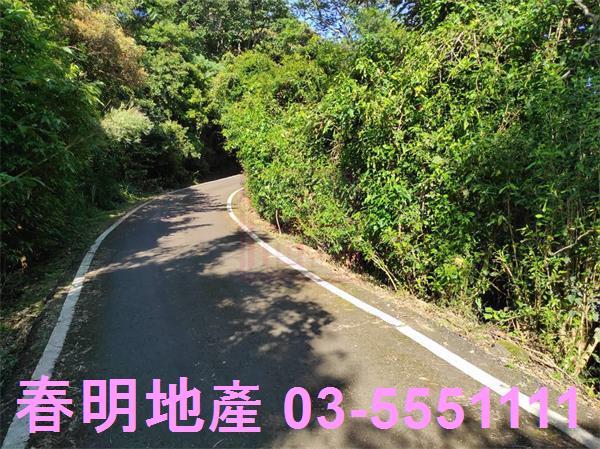 新竹關西農地-4