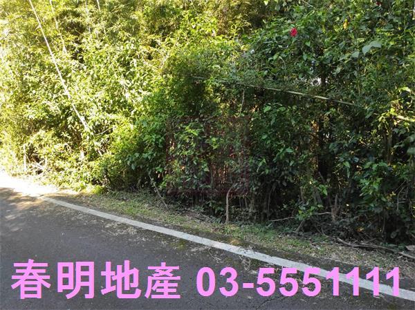 新竹關西農地-5