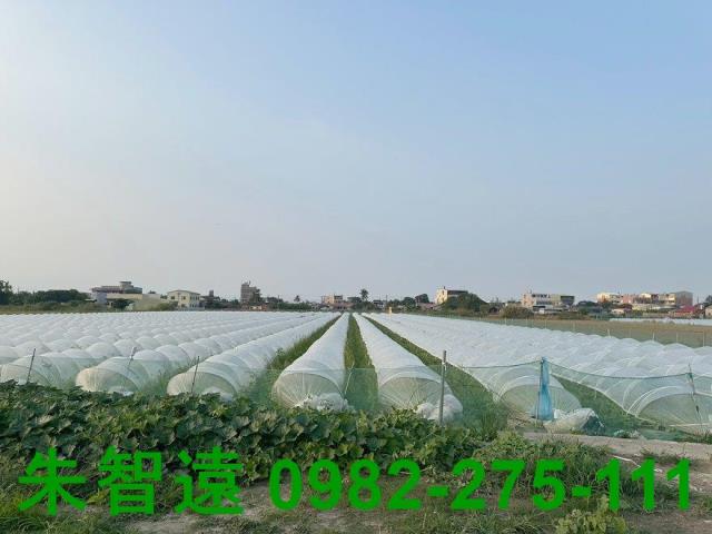 台南學甲農地-2