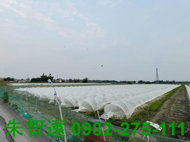 台南學甲農地-3