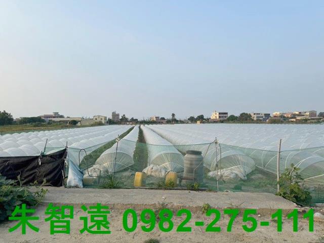 台南學甲農地-4