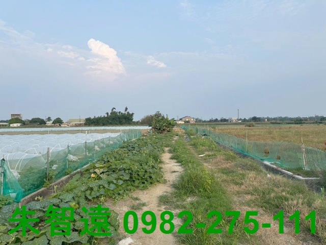 台南學甲農地-7