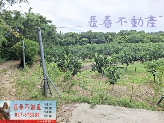 苗栗苗栗市農地-1