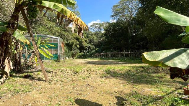 新竹峨眉農地-6