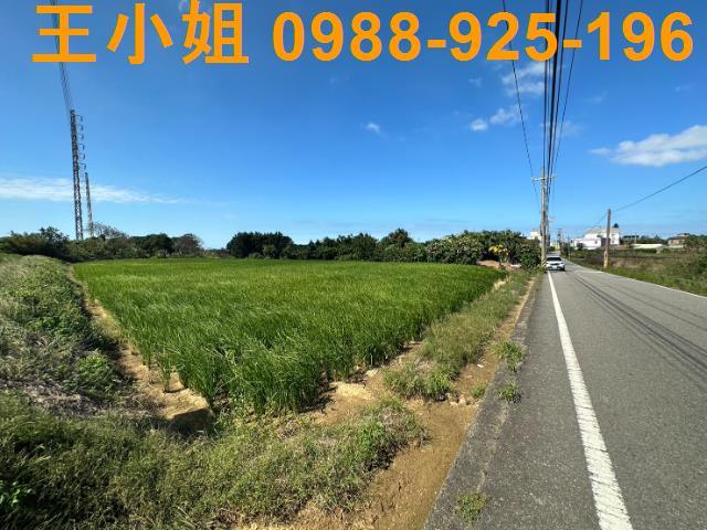 桃園新屋農地-1