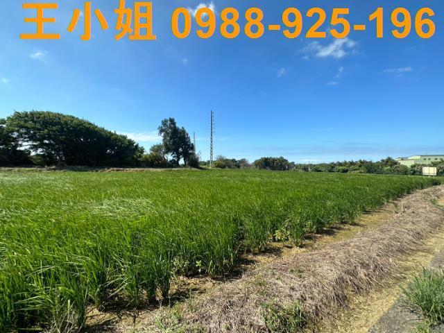 桃園新屋農地-5