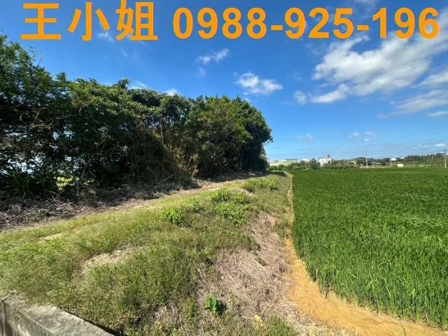 桃園新屋農地-6