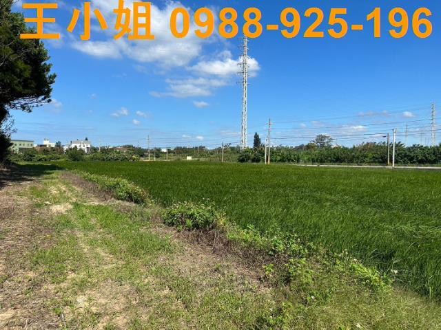 桃園新屋農地-7