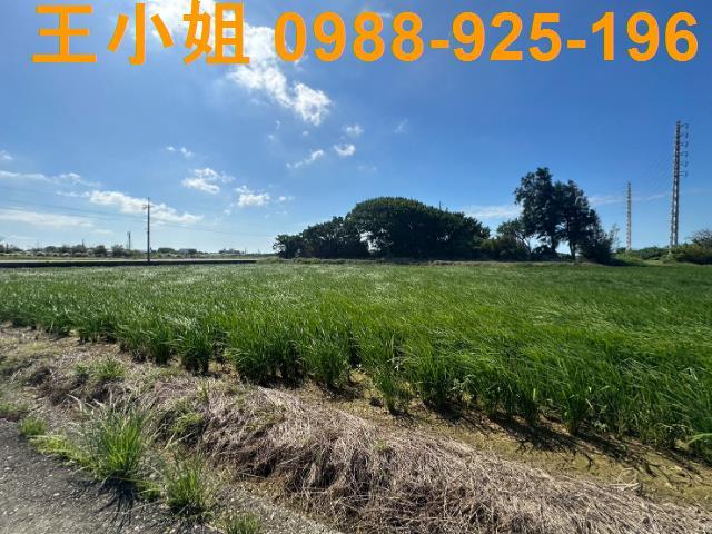 桃園新屋農地-8