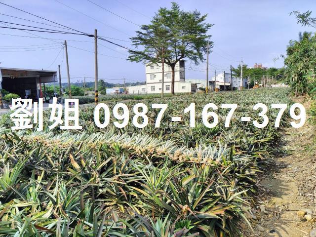 高雄大樹農地-0