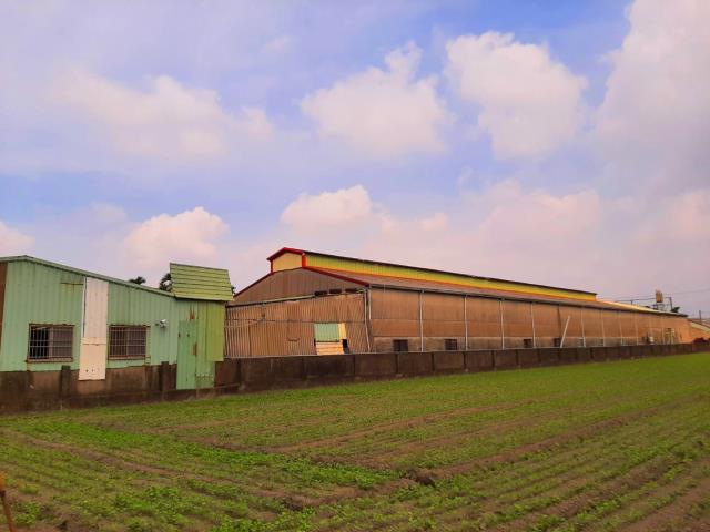 屏東屏東市農地-1