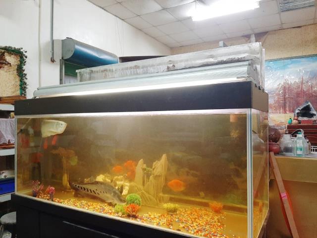 屏東屏東市農地-5