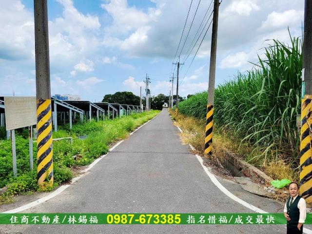 台南善化農地-9