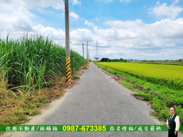 台南善化農地-10