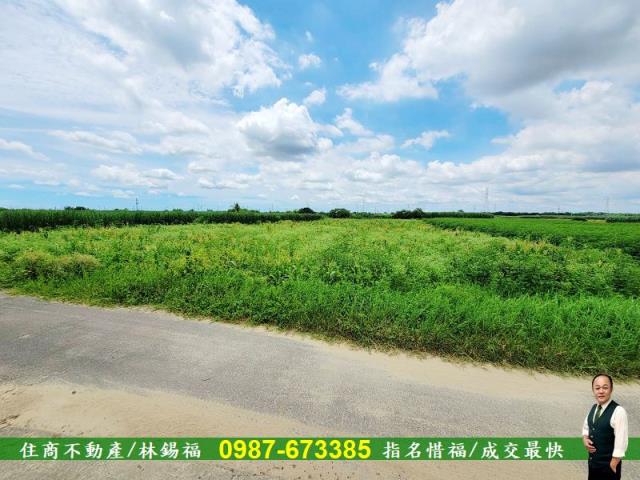 台南善化農地-0