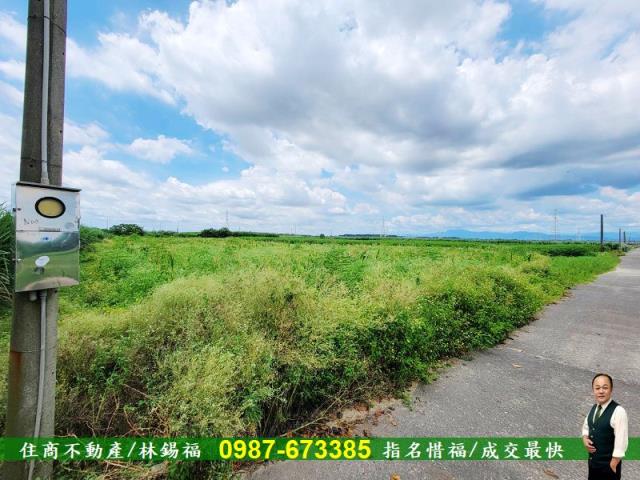 台南善化農地-1