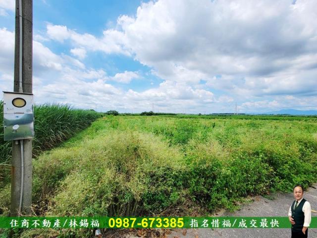 台南善化農地-2