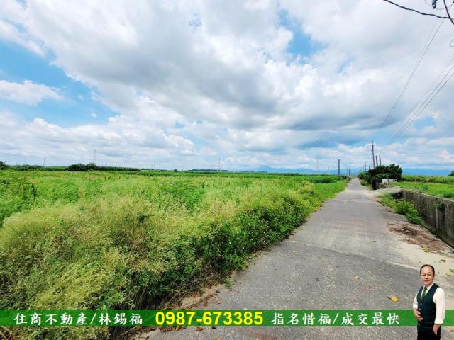 台南善化農地-3