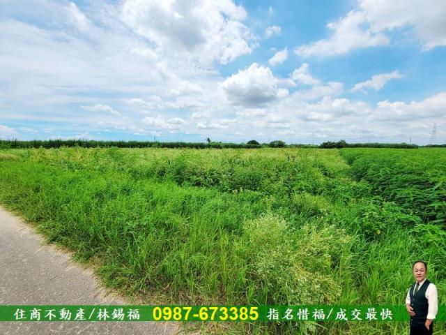 台南善化農地-4